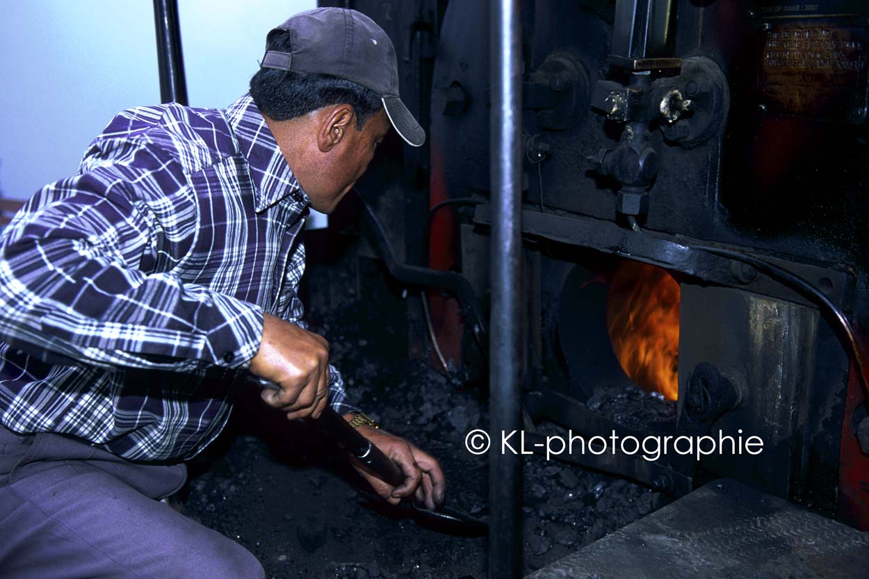 darjeeling himalayan railway