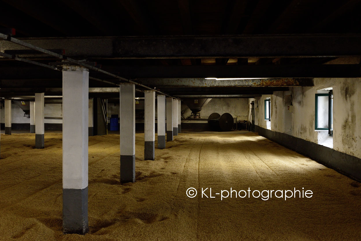 malt barn, laphroaig distillery